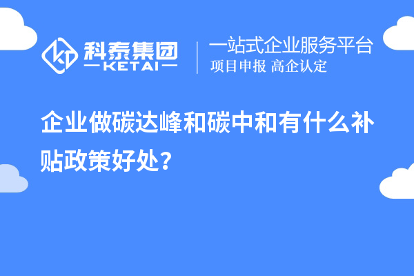 企业做碳达峰和碳中和有什么补贴政策好处?