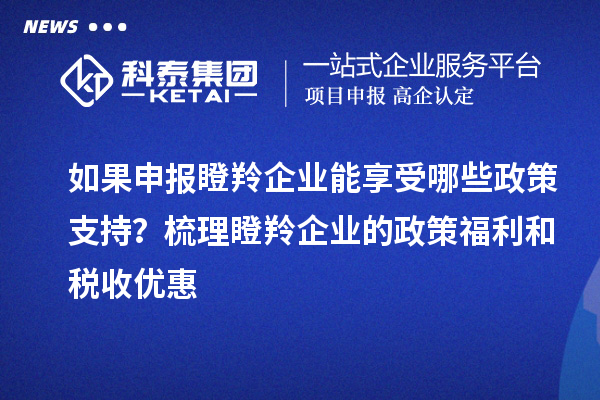 如果申报瞪羚企业能享受哪些政策支持?梳理瞪羚企业的政策福利和税收优惠