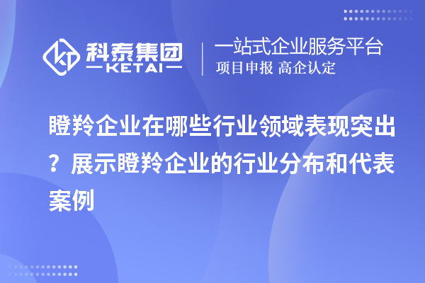 瞪羚企业在哪些行业领域表现突出?展示瞪羚企业的行业分布和代表案例