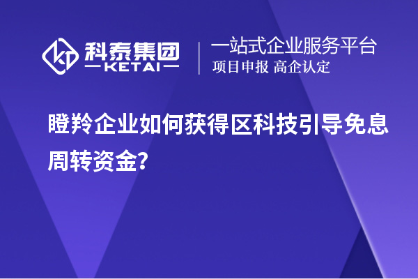 瞪羚企业如何获得区科技引导免息周转资金?