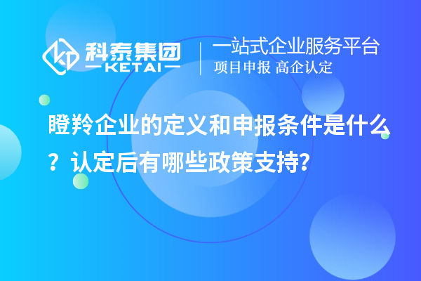 瞪羚企业的定义和申报条件是什么?认定后有哪些政策支持?