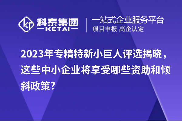 2023年专精特新小巨人评选揭晓,这些中小企业将享受哪些资助和倾斜政策?
