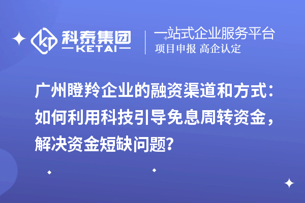 广州瞪羚企业的融资渠道和方式:如何利用科技引导免息周转资金,解决资金短缺问题?