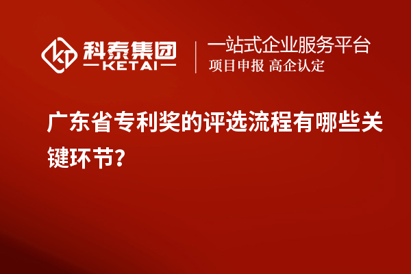 广东省专利奖的评选流程有哪些关键环节?