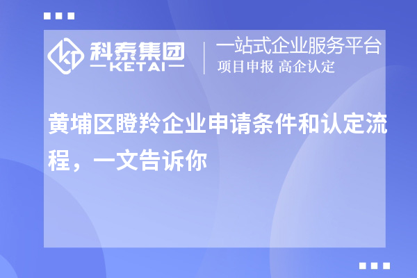 黄埔区瞪羚企业申请条件和认定流程,一文告诉你