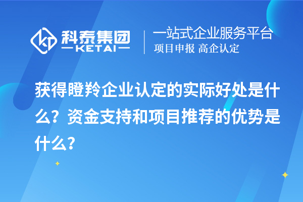 获得瞪羚企业认定的实际好处是什么?资金支持和项目推荐的优势是什么?