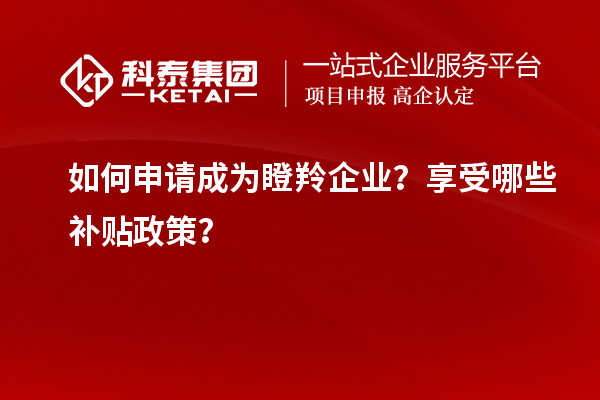 如何申请成为瞪羚企业?享受哪些补贴政策?