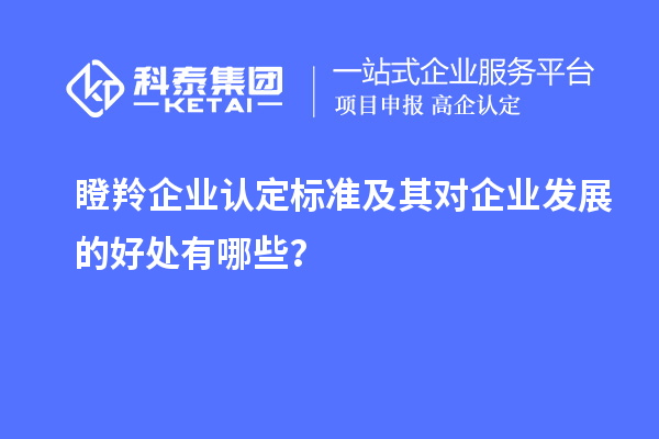 <a href=//m.aqshly.com/fuwu/dengling.html target=_blank class=infotextkey>瞪羚企业认定</a>标准及其对企业发展的好处有哪些?