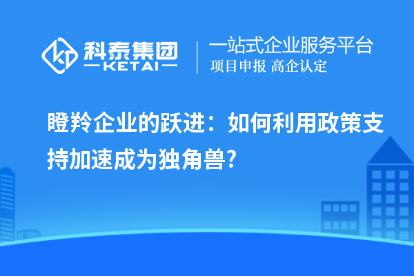 瞪羚企业的跃进:如何利用政策支持加速成为独角兽?