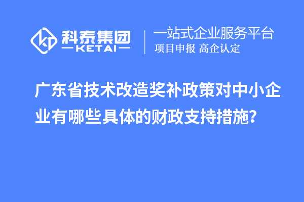 广东省技术改造奖补政策对中小企业有哪些具体的财政支持措施?