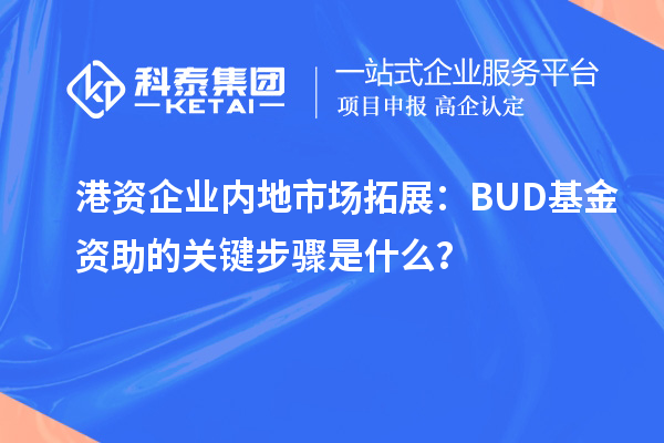 港资企业内地市场拓展:BUD基金资助的关键步骤是什么?