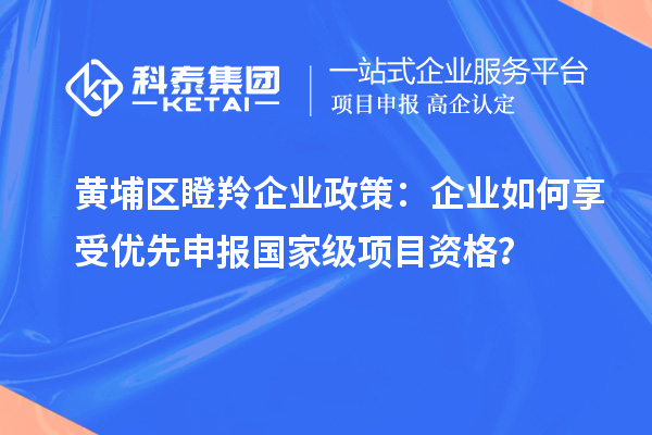 黄埔区瞪羚企业政策:企业如何享受优先申报国家级项目资格?