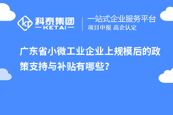广东省小微工业企业上规模后的政策支持与补贴有哪些?