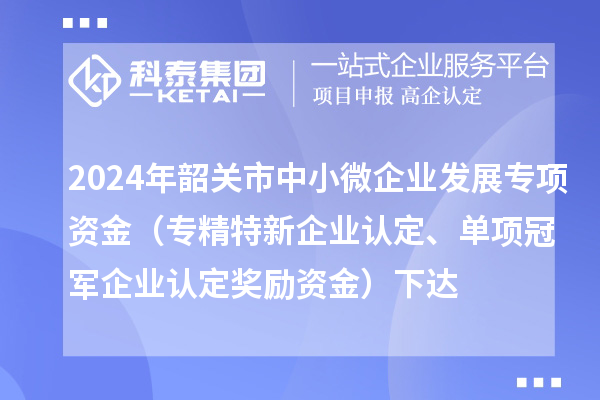 2024年韶关市中小微企业发展专项资金(专精特新企业认定、单项冠军企业认定奖励资金)下达