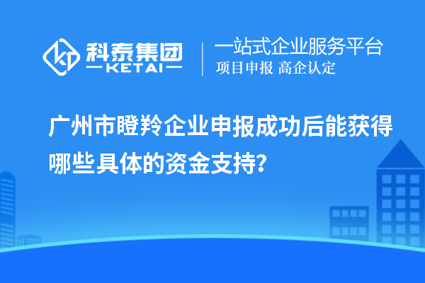 广州市瞪羚企业申报成功后能获得哪些具体的资金支持?