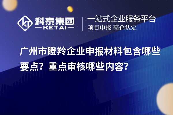 广州市瞪羚企业申报材料包含哪些要点?重点审核哪些内容?