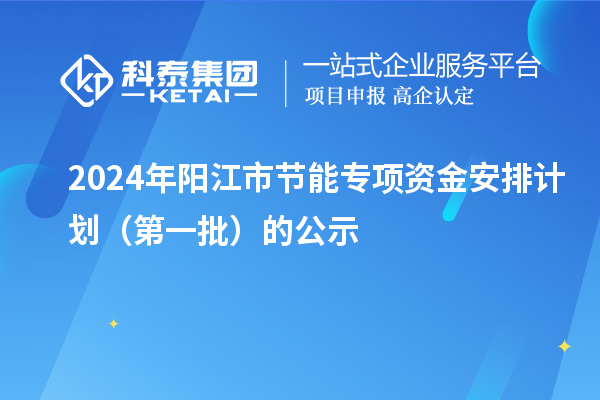 2024年阳江市节能专项资金安排计划(第一批)的公示