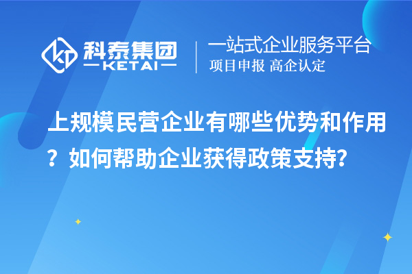 上规模民营企业有哪些优势和作用?如何帮助企业获得政策支持?