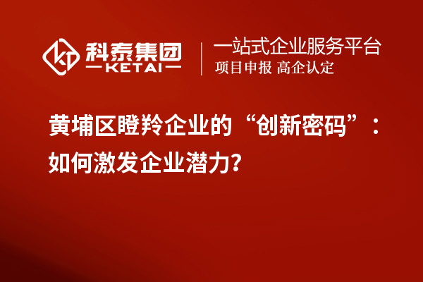 黄埔区瞪羚企业的“创新密码”:如何激发企业潜力?