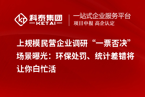 上规模民营企业调研“一票否决”场景曝光:环保处罚、统计差错将让你白忙活