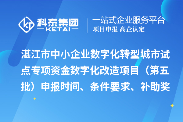 湛江市中小企业数字化转型城市试点专项资金数字化改造项目(第五批)申报时间、条件要求、补助奖励
