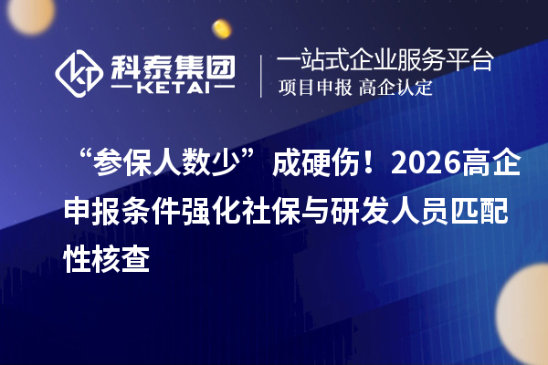 “参保人数少”成硬伤!2026高企申报条件强化社保与研发人员匹配性核查