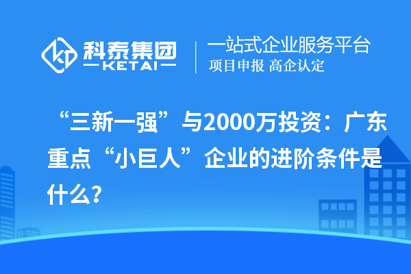 “三新一强”与2000万投资:广东重点“小巨人”企业的进阶条件是什么?