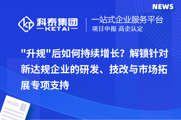 升规后如何持续增长?解锁针对新达规企业的研发、技改与市场拓展专项支持