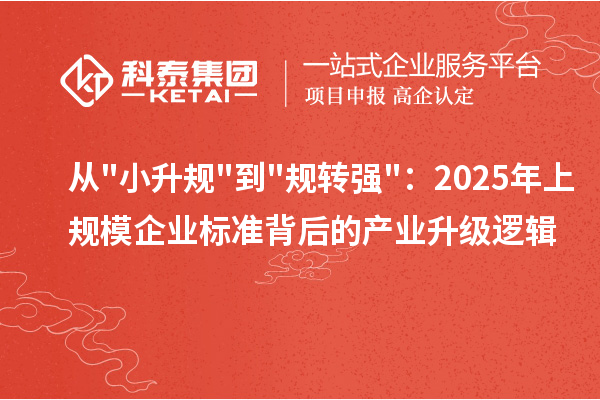 从小升规到规转强:2025年上规模企业标准背后的产业升级逻辑