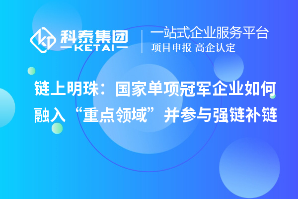 链上明珠:国家单项冠军企业如何融入“重点领域”并参与强链补链