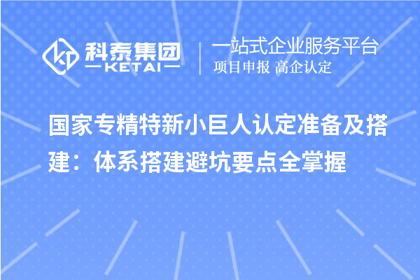 国家专精特新小巨人认定准备及搭建:体系搭建避坑要点全掌握