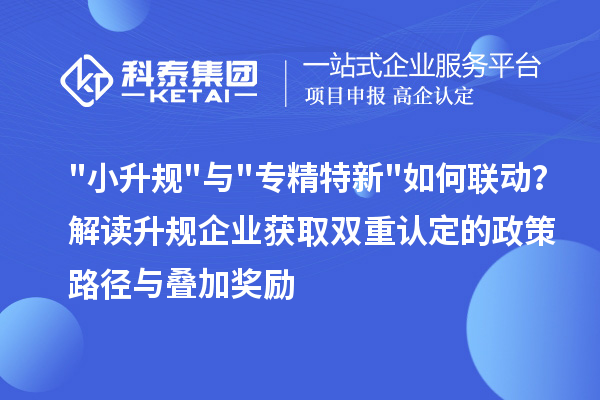 小升规与专精特新如何联动?解读升规企业获取双重认定的政策路径与叠加奖励