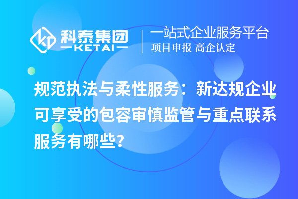 规范执法与柔性服务:新达规企业可享受的包容审慎监管与重点联系服务有哪些?