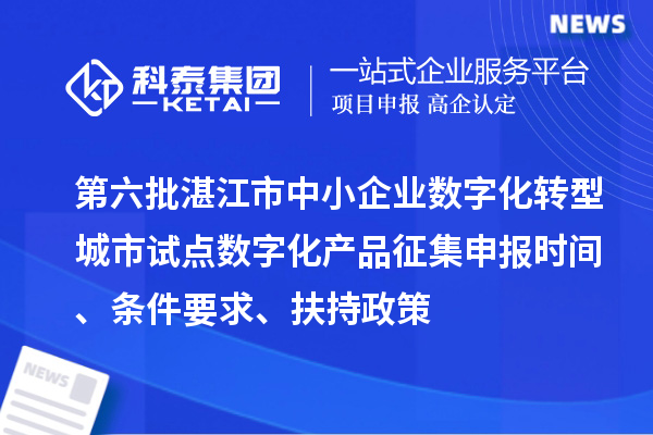 第六批湛江市中小企业数字化转型城市试点数字化产品征集申报时间、条件要求、扶持政策