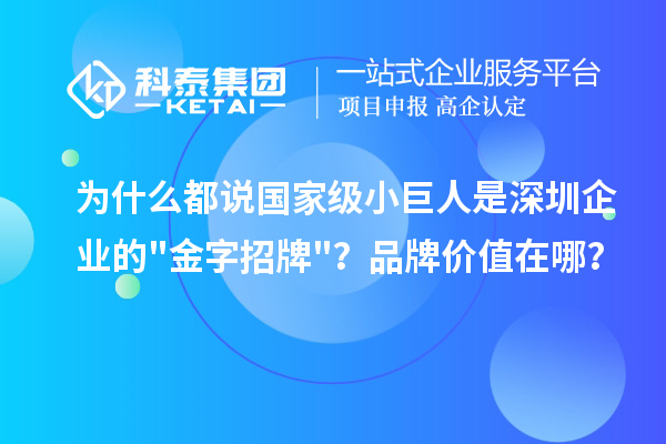 为什么都说国家级小巨人是深圳企业的金字招牌?品牌价值在哪?