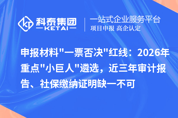 申报材料一票否决红线:2026年重点小巨人遴选,近三年审计报告、社保缴纳证明缺一不可