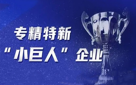 专精特新小巨人企业认定有什么好处