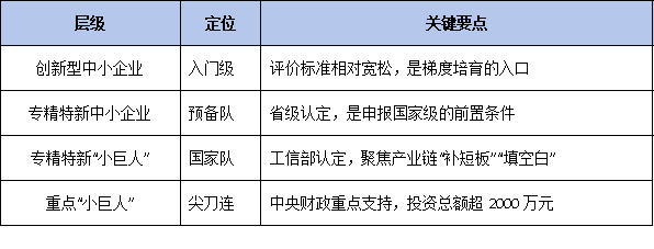 2026国家级专精特新申报全景指南：政策新风向、认定条件与梯度培育路径深度解析