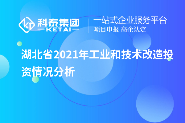 湖北省2021年工业和技术改造投资情况分析