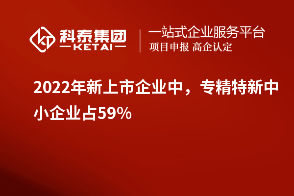 2022年新上市企业中，专精特新中小企业占59%