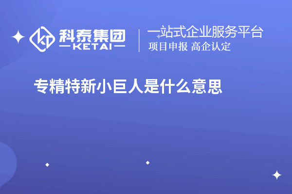 专精特新小巨人是什么意思