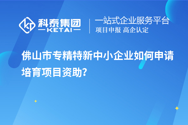 佛山市专精特新中小企业如何申请培育项目资助？