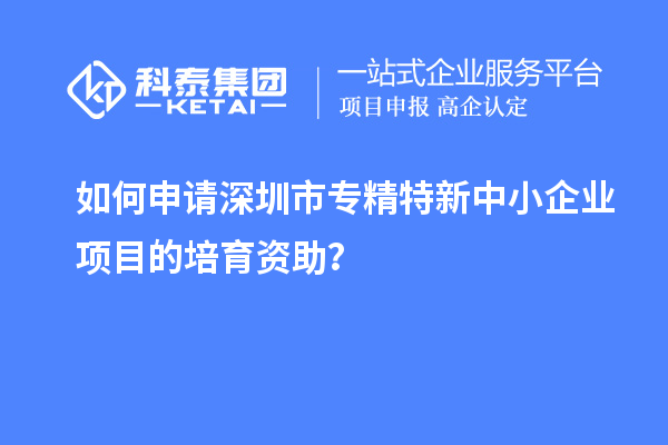 如何申请深圳市专精特新中小企业项目的培育资助？