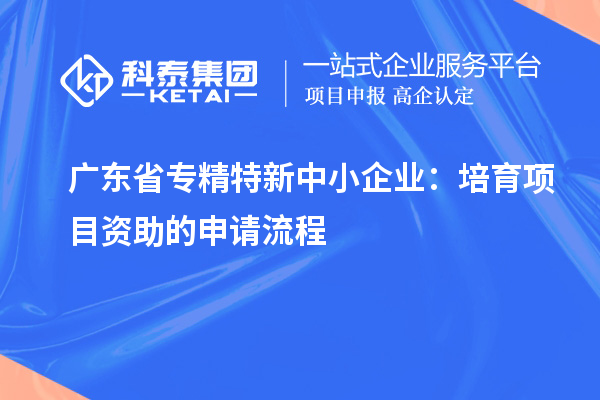 广东省专精特新中小企业：培育项目资助的申请流程
