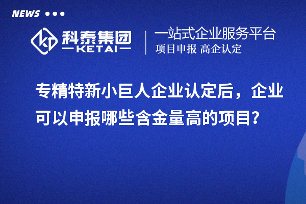 专精特新小巨人企业认定后，企业可以申报哪些含金量高的项目？