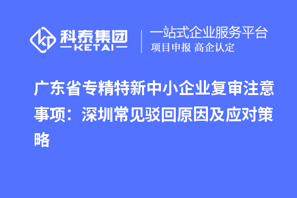 广东省专精特新中小企业复审注意事项：深圳常见驳回原因及应对策略