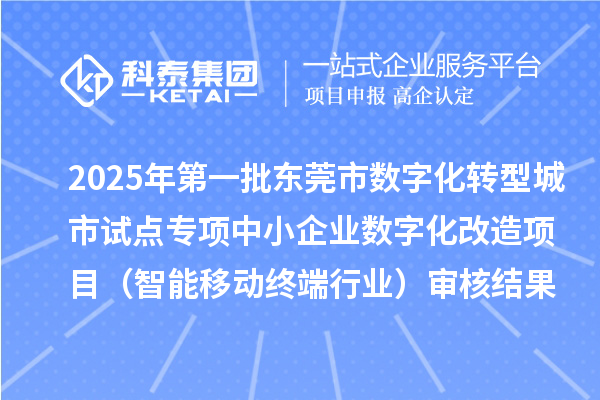 2025年第一批东莞市数字化转型城市试点专项中小企业数字化改造项目（智能移动终端行业）审核结果
