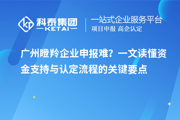 广州瞪羚企业申报难？一文读懂资金支持与认定流程的关键要点