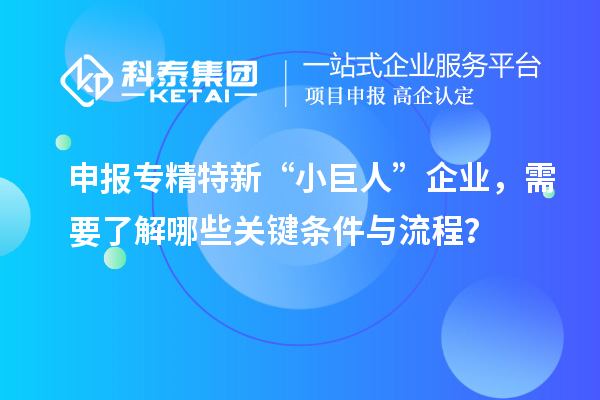 申报专精特新“小巨人”企业，需要了解哪些关键条件与流程？