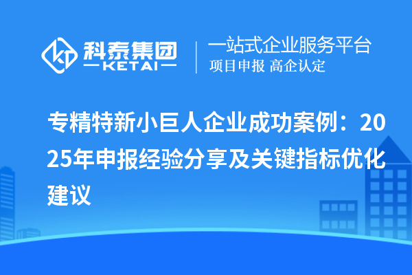 专精特新小巨人企业成功案例：2025 年申报经验分享及关键指标优化建议